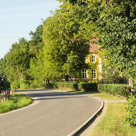 Naturnahes, Neu Moebl.Apartment, Hundefreundlich Neu Gaarz Экстерьер фото
